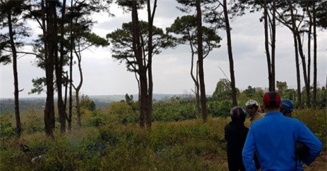 Đăk Lăk: Nam thanh niên tử vong bất thường cạnh xe máy trong rừng thông