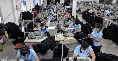 Thấy gì từ chất lượng và hiệu quả hoạt động của doanh nghiệp Việt?