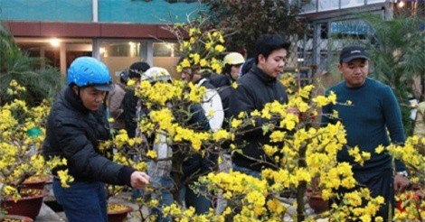 Chợ hoa Sài Gòn ế ẩm 30 Tết