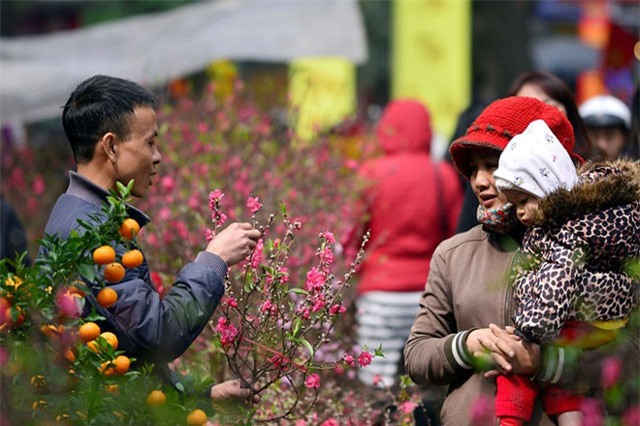 DỰ BÁO THỜI TIẾT (15/2): Thời tiết cả nước thuận hòa ngày cuối năm