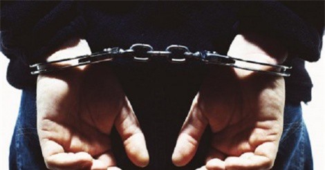 Hà Nội: 2 đối tượng mang súng đi trộm... hơn 200 cây hoa ly