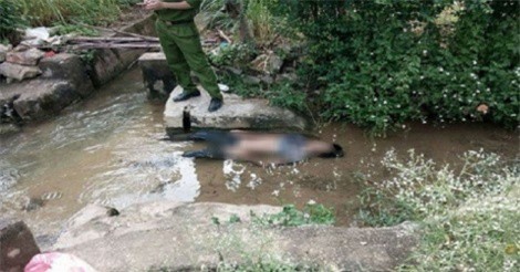 Hải Dương: Người đàn ông tử vong bất thường dưới mương nước