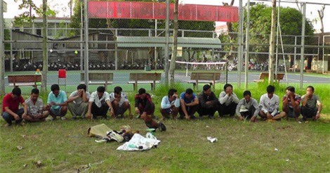 Nhiều trường gà liên tiếp bị triệt phá