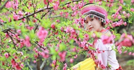 DỰ BÁO THỜI TIẾT (16/2): Bắc Bộ mát mẻ, Nam Bộ ấm áp ngày đầu năm Mậu Tuất