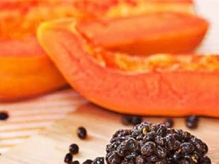 Bất ngờ với công dụng tránh thai của hạt đu đủ