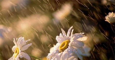 DỰ BÁO THỜI TIẾT (17/2): Nắng xuân ngập tràn cả nước, Hà Nội có mưa vài nơi