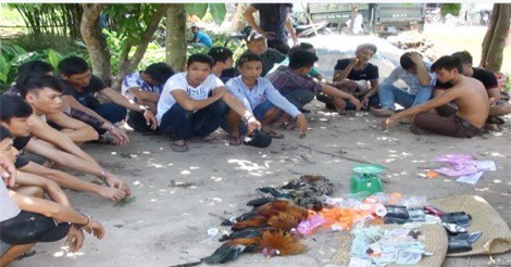 Triệt phá tụ điểm đá gà ở vùng quê