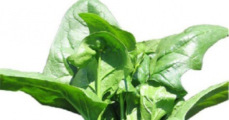 Ăn gì khi bị stress?