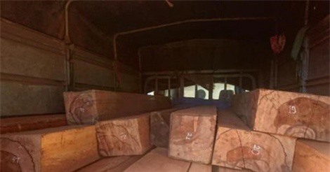 Công an Hải Dương bắt giữ 2 vụ vận chuyển gỗ lim lậu mùng 1 Tết