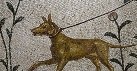 Giải mã vai trò đặc biệt của loài chó trong văn hóa Hy Lạp cổ đại