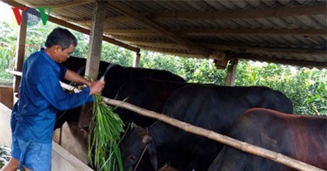 Tiền Giang đề ra 7 nhóm giải pháp phát triển kinh tế xã hội bền vững