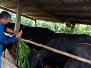 Tiền Giang đề ra 7 nhóm giải pháp phát triển kinh tế xã hội bền vững