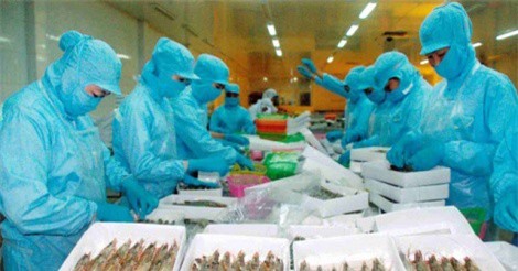 Xuất khẩu thủy sản 2018: Kỳ vọng bứt phá