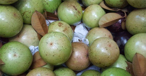 Bộ Nông nghiệp hô hào các bộ, ngành khác tham gia bảo vệ thương hiệu vú sữa Việt Nam tại Mỹ