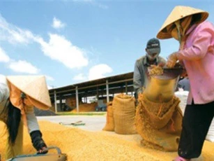 T&T muốn rót nghìn tỷ vào ‘bom tấn’ lương thực miền Nam