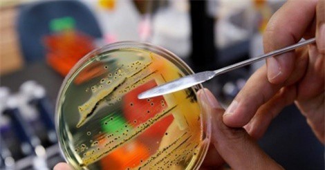 10 bệnh nguy hiểm nhất thế giới được WHO công bố năm 2018