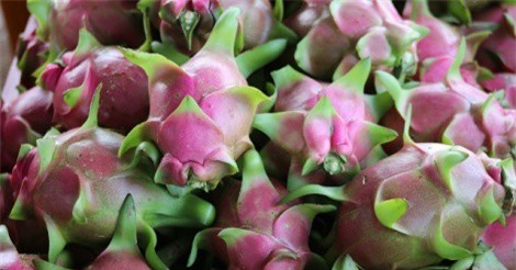 Nông sản Việt chinh phục thị trường xuất khẩu