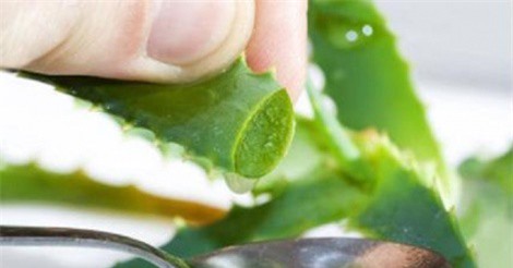 Da mặt sẽ trắng sáng hẳn lên chỉ sau 2 ngày rửa bằng hỗn hợp này