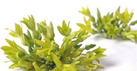 Phòng ngừa rôm sảy hiệu quả từ hoa thiên lý