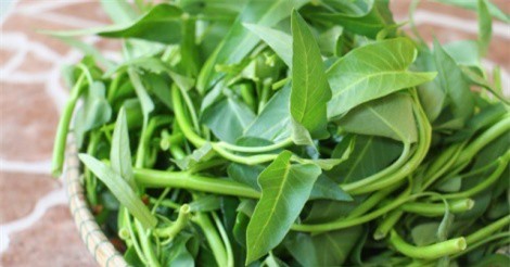 Thực hư chuyện ăn rau muống chưa chín sẽ bị xơ gan