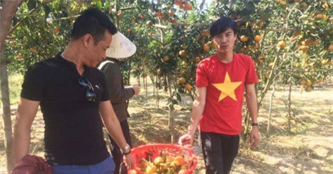 Cam sành giúp nông dân Gia Lai thoát nghèo