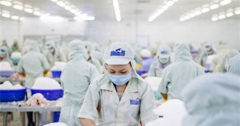 Kế hoạch "trăm tỷ" có "quá sức" với HVG?