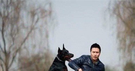 Mục sở thị những trang trại chó "độc" nhất Việt Nam