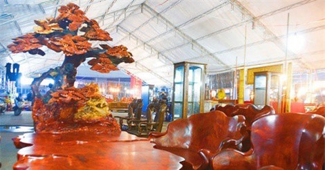 Ngắm bộ bàn ghế “mọc cây” siêu chất giá gần 1 tỷ đồng