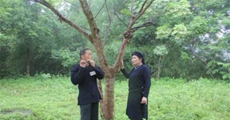 Chợ tình Xuân Dương - nét văn hóa trong cộng đồng người Tày, Nùng