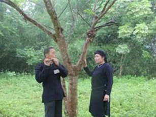 Chợ tình Xuân Dương - nét văn hóa trong cộng đồng người Tày, Nùng