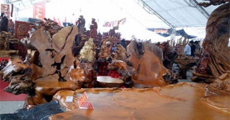 Ngắm bộ bàn ghế gỗ lũa 8 món tỏa hương thơm giá 690 triệu đồng