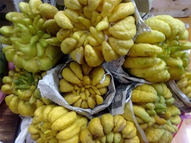 Tận dụng phật thủ sau Tết ngâm rượu chữa bệnh hiệu quả