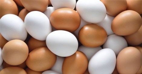 Hòa Phát sẽ bán 20 triệu trứng gà trong năm 2018, mục tiêu đẩy nhanh dự án Dung Quất