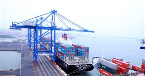 Tân cảng Sài Gòn đóng góp 20% cho ngân sách TP.HCM