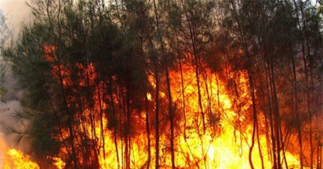 DỰ BÁO THỜI TIẾT (27/2): Nắng nóng kéo dài, nguy cơ cao xảy ra cháy rừng