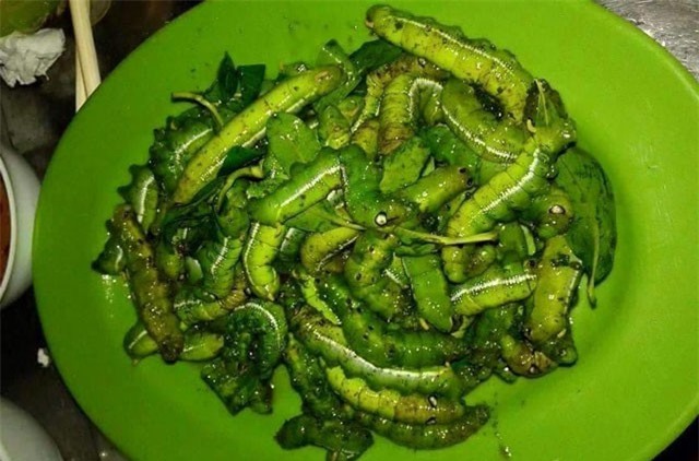 5 đặc sản từ sâu thách thức lòng can đảm của thực khách