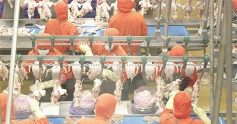 Doanh nghiệp phấn khởi trước “món quà đầu năm” của Chính phủ