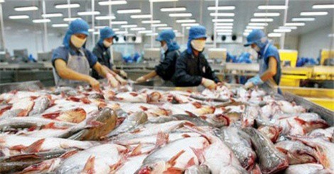 Việt Nam kiến nghị lên WTO việc Mỹ hạn chế nhập khẩu cá tra