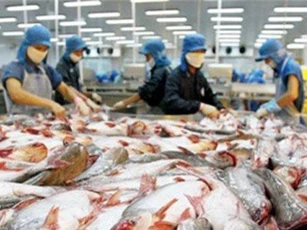 Việt Nam kiến nghị lên WTO việc Mỹ hạn chế nhập khẩu cá tra