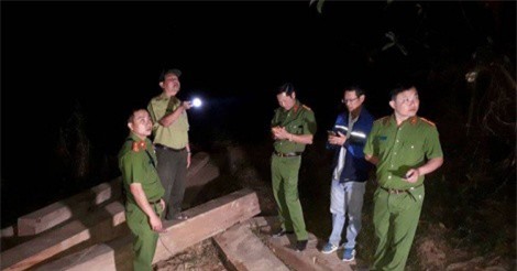 Bắt giữ vụ vận chuyển gỗ quy mô lớn ở Đắk Lắk