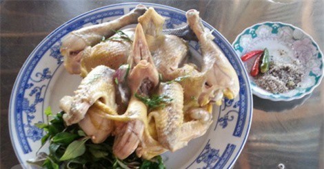 Gà đèo Le - đặc sản gây thương nhớ của Quảng Nam