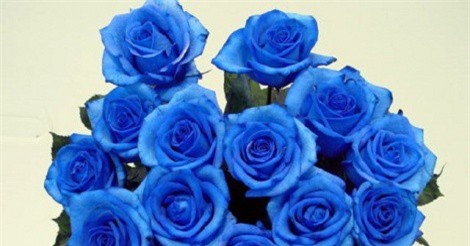 6 ý tưởng kinh doanh không nên bỏ qua dịp 8/3