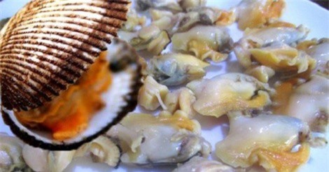 Dân biển Nghệ An kiếm bộn nhờ “săn” sò lông