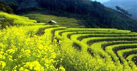 DỰ BÁO THỜI TIẾT (2/3): Bắc Bộ tăng nhiệt mạnh mẽ, Nam Bộ nắng gắt