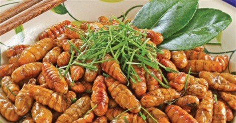 vừa sợ vừa mê đặc sản xứ Nghệ