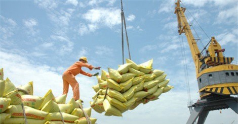 Xuất khẩu gạo khả quan, giá vượt Thái Lan