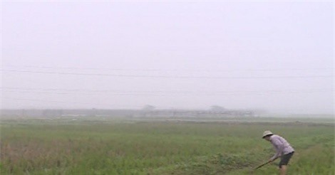 Hà Nội: Gần 2.000ha đất trồng lúa mỏi mòn chờ nước sản xuất