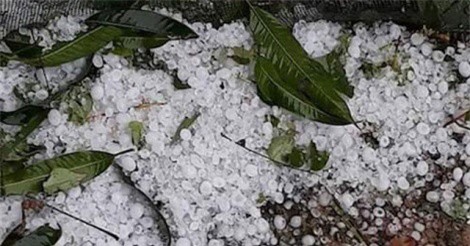 Mưa đá cực lớn xuất hiện ở Hà Giang, Lào Cai