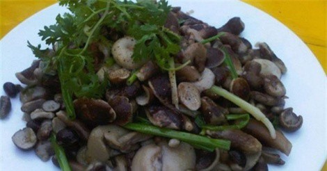 Về Phú Quốc đừng quên thưởng thức nấm tràm