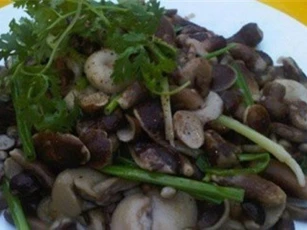 Về Phú Quốc đừng quên thưởng thức nấm tràm